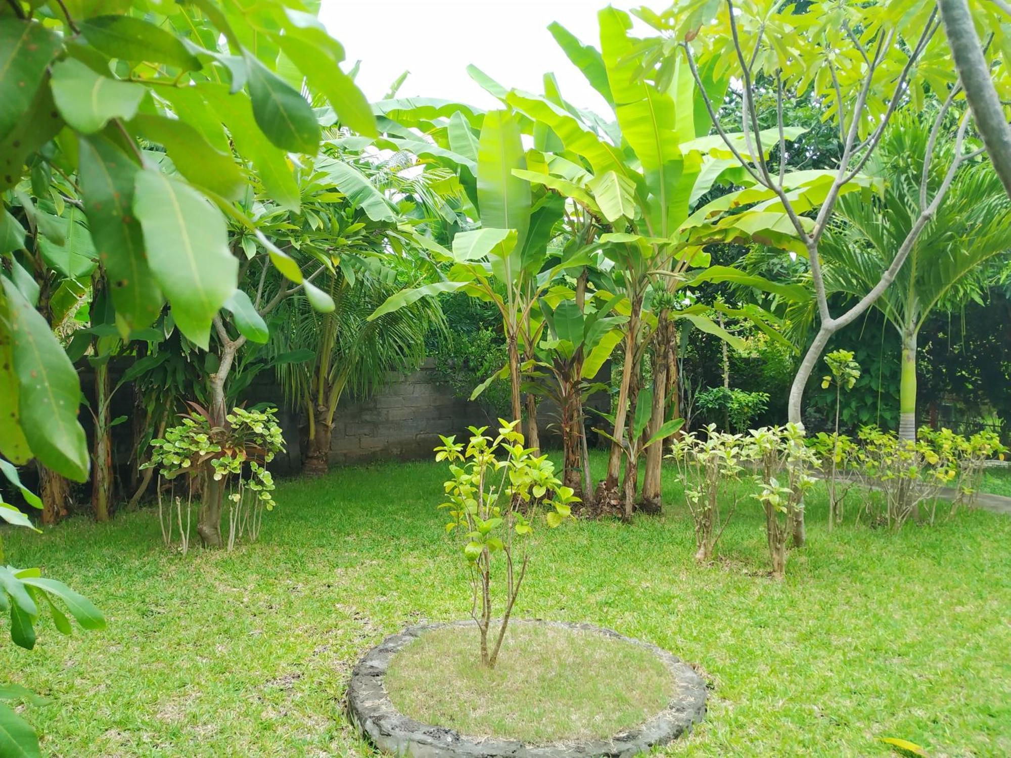Asih Homestay Pemuteran Esterno foto
