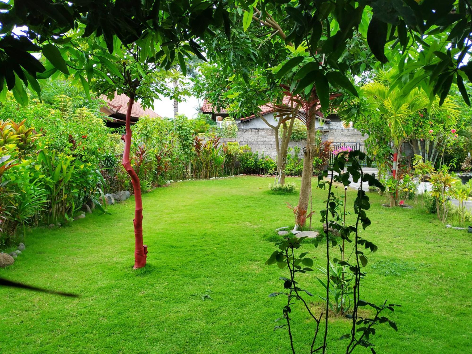 Asih Homestay Pemuteran Esterno foto