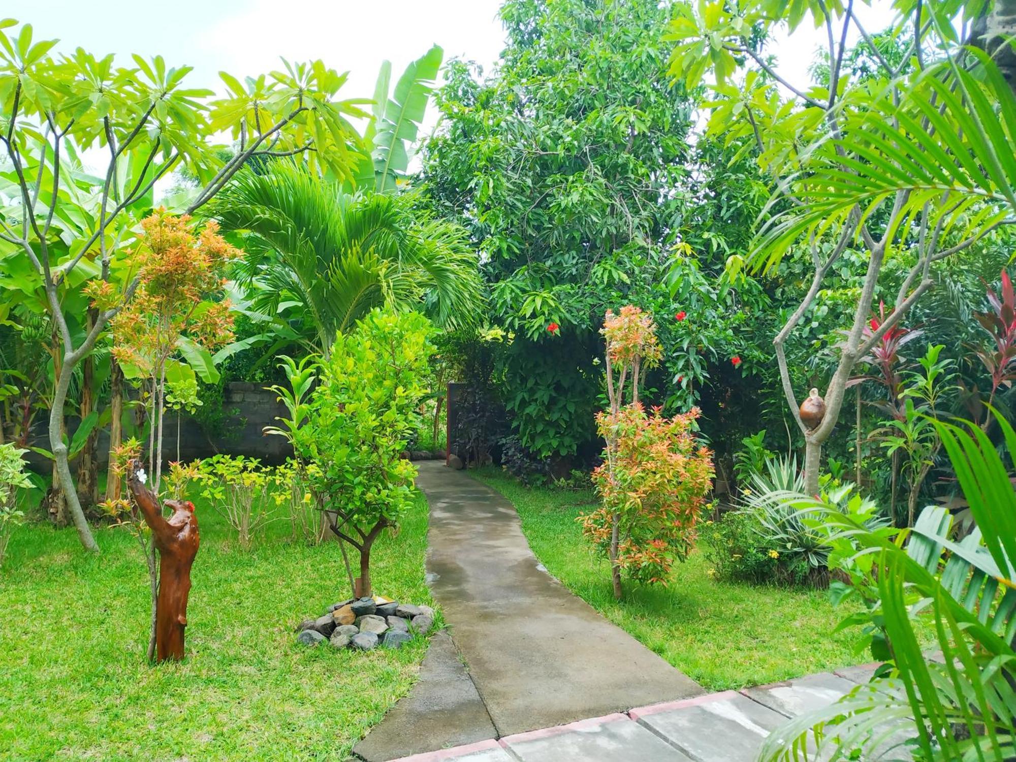 Asih Homestay Pemuteran Esterno foto